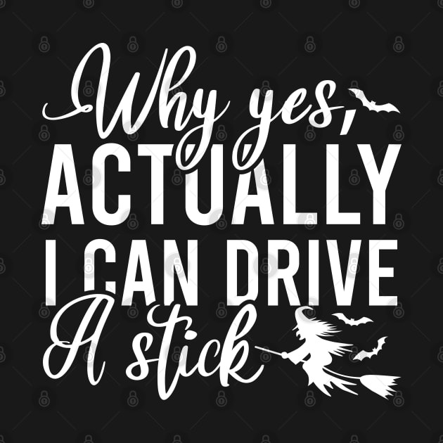 Why Yes I Can Actually Drive A Stick by Blonc