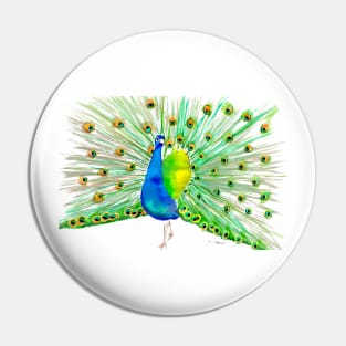 Peacock Pin