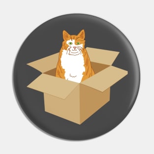 Orange Tabby Cat In A Box Pin