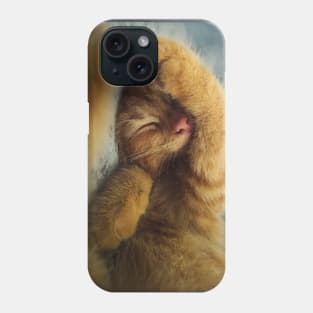 sleepy ginger kitty Phone Case