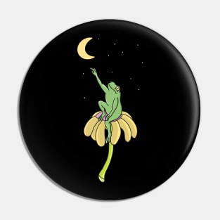 Frog and Moon Pin