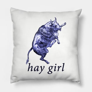 hay girl. Pillow