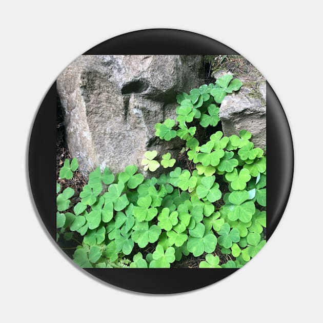 Be Lucky and Smell the Fresh Green Clover! Pin by Photomersion