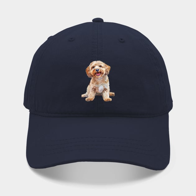 Cockapoo