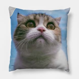 The chubby cute cats Pillow