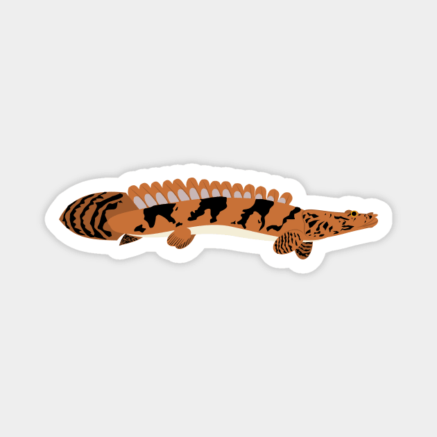 Saddled Bichir Magnet by stargatedalek