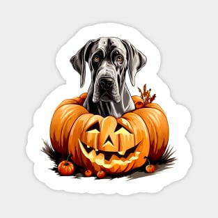 Great Dane Dog inside Pumpkin #2 Magnet