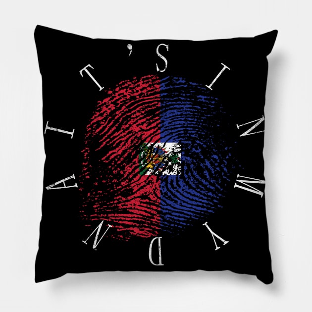 Haiti It's In My Dna Vintage Haitian Flag Gift Pillow by Grabitees