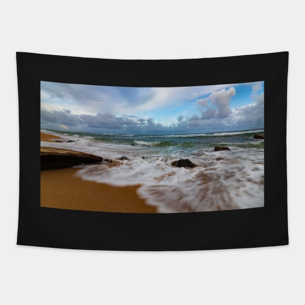 Kauai Driftwood Tapestry by JeffreySchwartz