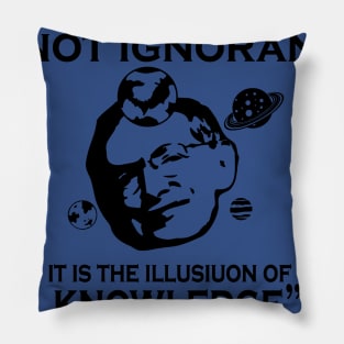 Enemy of Knowledge Pillow