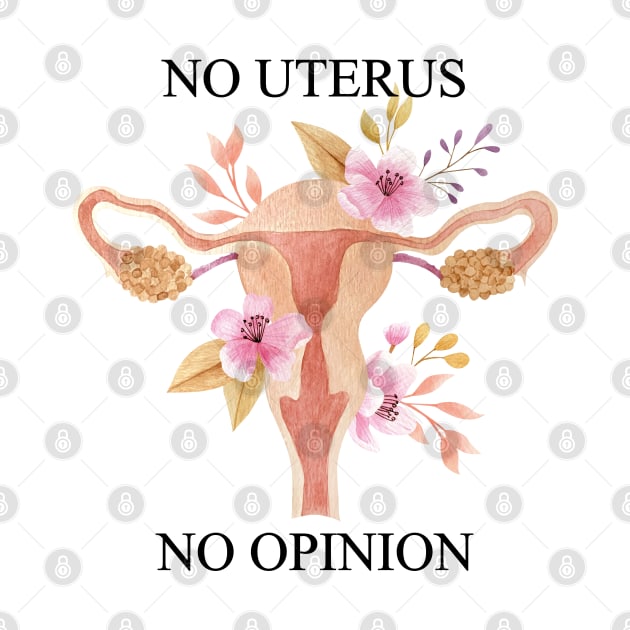 no uterus no opinion, roe v wade, reproductive rights by misoukill