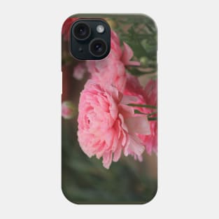 Peony Pink Ranunculus Closeup Phone Case