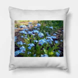 forget Me Not Pillow