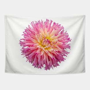 Pink Dahlia Floral Photo Tapestry