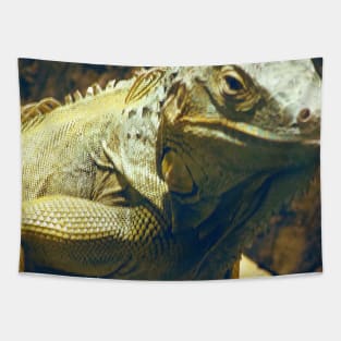 Iguana Tapestry