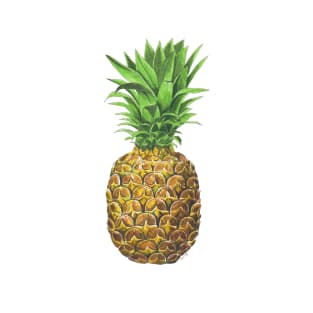 Pineapple, tropical fruit T-Shirt