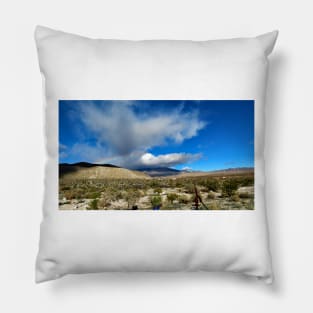 Anza Borrego State Park Pillow