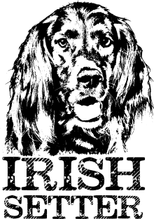 Irish Setter Dog Magnet