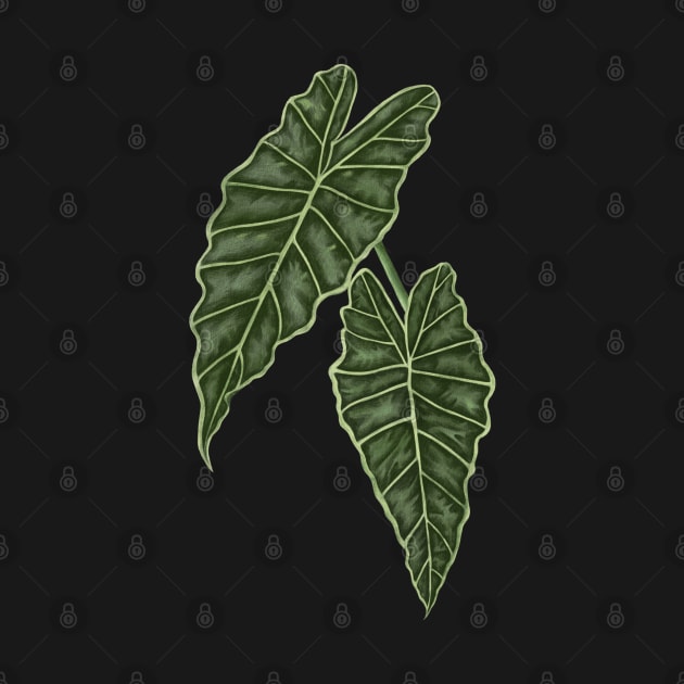 Alocasia Polly Green Leaves by gronly