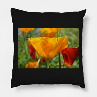 California Poppy Pillow