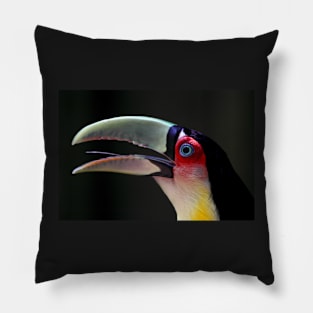 Red Breasted Toucan Portrait at Iguassu, Brazil Pillow