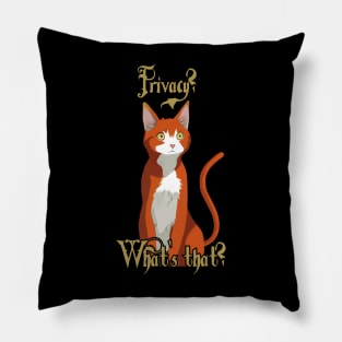Funny Ginger Cat Wondering 'Privacy? What is that?' Pillow