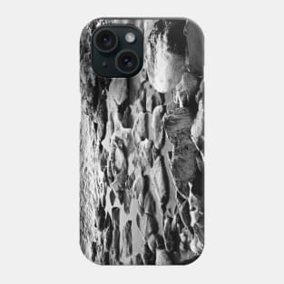 Frozen Rocks Phone Case