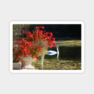 Swan And Flowers Magnet