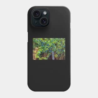 Plum tree in an orchard Phone Case