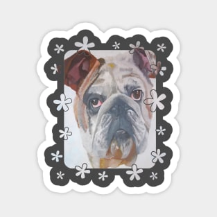 American Bulldog Portrait Vector With Cute Border Magnet