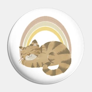 Sleeping cat and rainbow Pin