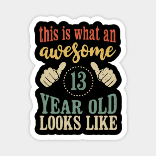 This is What an Awesome 13 Year Old Birthday Gift 13th Magnet