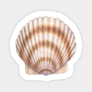 Bay Scallop Magnet