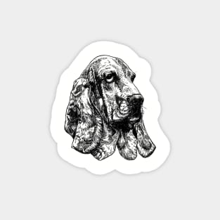 Basset hound dog drawing Magnet