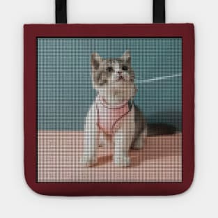 Cat Harness Leash Set for Walking Tote