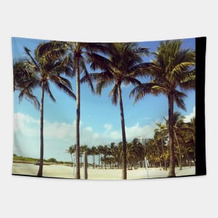 Palm trees photo Miami Florida blue sky palmtree landscape USA nature lovers Tapestry