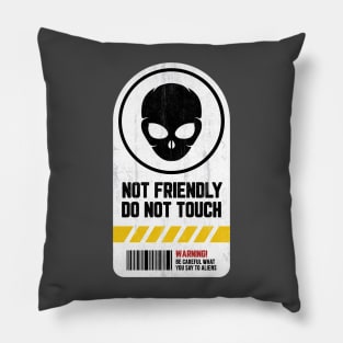 Not Friendly Do Not Touch Pillow