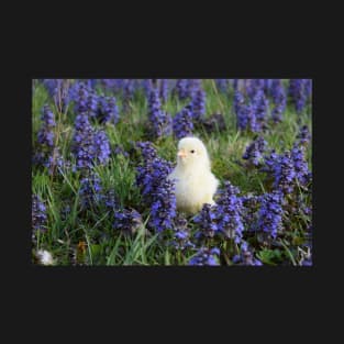 Baby Chick in Garden T-Shirt