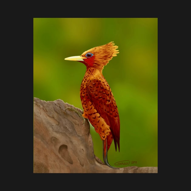 Chestnut Colored Woodpecker by GDGCreations