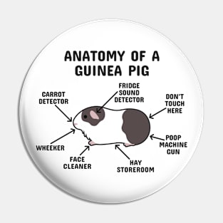 Anatomy of a Guinea Pig: Brown and White Pin