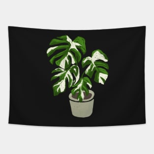 Monstera deliciosa variegated plant with fenestrations Tapestry