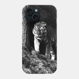 Year of the tiger 2022 - 6 Phone Case