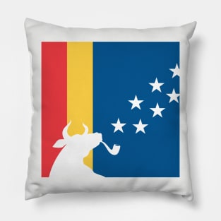 Bull Durham Flag Pillow