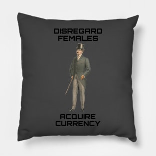 Disregard females Acquire currency Pillow