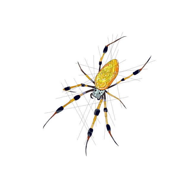 Golden Orb Weaver by Blacklightco