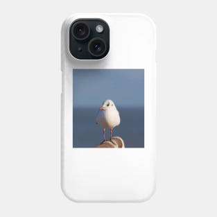 Black Headed Gull Phone Case