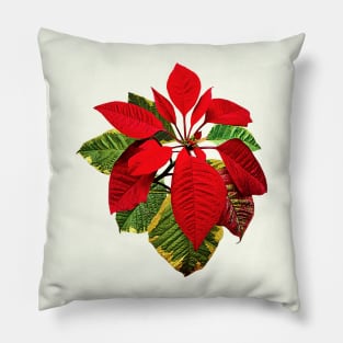 Poinsettia Plant Pillow