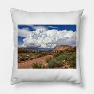 Summer Monsoon Pillow