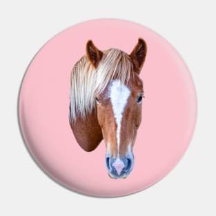 Horse Pin