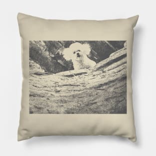 Silence Of The Lambs dog Pillow